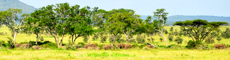 Melanie Heinrich Travel Images Africa